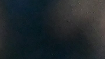 Zlatan Ibrahimovic registró dos marcas históricas con el AC Milan.