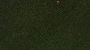 Japón alzando su tercer título mundial de béisbol.