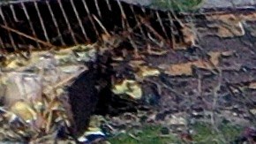 El Servicio Meteorológico de Mississippi también alertó de que durante las próximas horas podrían producirse nuevos tornados.