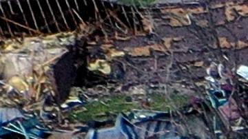 El Servicio Meteorológico de Mississippi también alertó de que durante las próximas horas podrían producirse nuevos tornados.