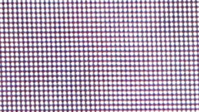 Ricky Martín fue el encargado de entregar tan importante reconocimiento a Bad Bunny.