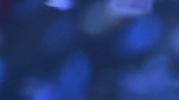 Anahí está lista para la gira de RBD.