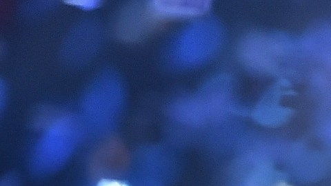 Anahí está lista para la gira de RBD.