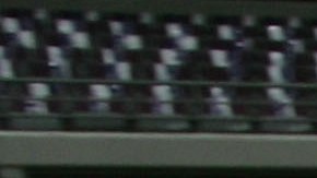 El perro se robó todas las miradas y no por su talento en el tabloncillo.