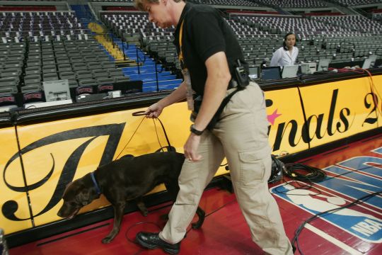 Perro apareció durante medio tiempo del baloncesto universitario e hizo "sus necesidades" en plena cancha [Video]