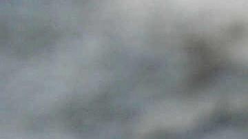 A 12-foot (3.65m) Burmese python that wa