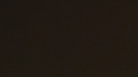 Javier Báez en el Clásico Mundial con Puerto Rico en 2017.