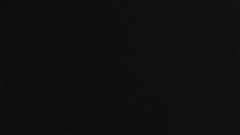 Estados Unidos posa con el trofeo de campeón en el Clásico Mundial de Béisbol en 2017.