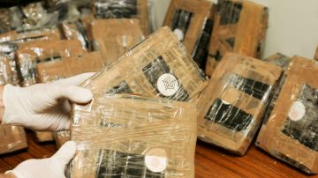Major Drugs Haul Seized By Federal Police Force