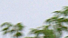 Planta de Xcel Energy en Monticello, al noroeste de Minneapolis.