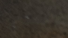 Philadelphia Begins Clean Up Of Drug Infested Encampment In Kensington Area