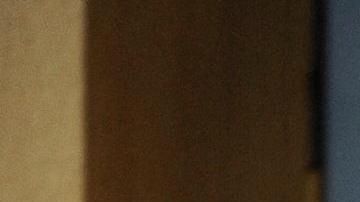 Genevieve Lhermitte, Belgian 42-year-old