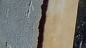 Las pinturas antiguas fueron descubiertas en una casa de Micklegate, Reino Unido.