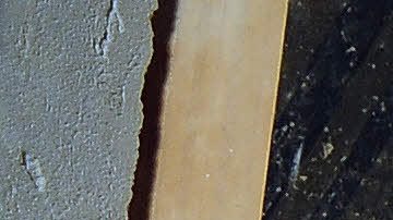Las pinturas antiguas fueron descubiertas en una casa de Micklegate, Reino Unido.