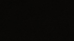 Federal Agents Target Immigrant Gangs On Long Island