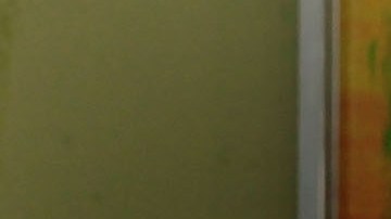 Declaración de impuestos