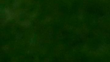 'Chicharito' estaría cerca de regresar a la selección mexicana. / Foto: Getty Images