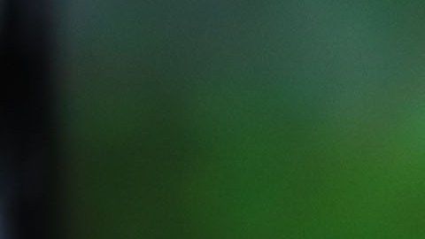 Hugo Sánchez pide un oportunidad en la selección de México.