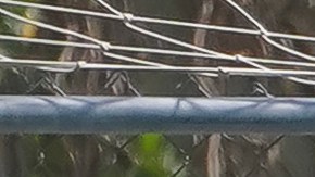 El guardameta azteca se mostró enfocado en ganarse un cupo para el Mundial de 2026.