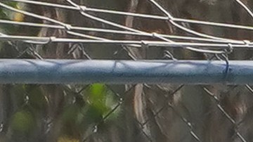 El guardameta azteca se mostró enfocado en ganarse un cupo para el Mundial de 2026.