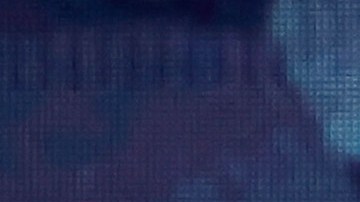 Megan Thee Stallion, cantante de rap.