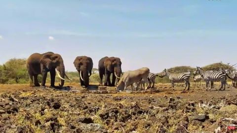 Un pozo de agua en Kenia