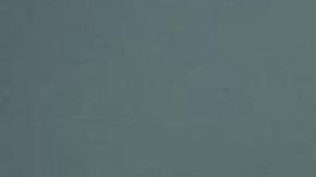 Larry Padgett está acusado de matar a Mary Willfong, de 23 años, en 1989.