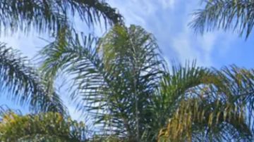 Escuela primaria Lincoln Acres en National City