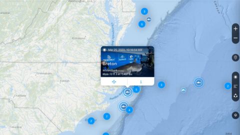Ubicación del tiburón Breton
