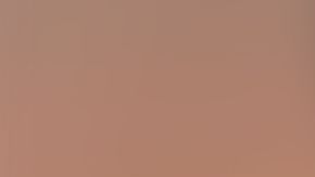 Las autoridades señalaron que su esposo nunca denunció la desaparición de la víctima, siendo una persona de gran interés para la policía.