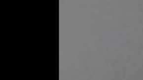 Paddy Patrick Purcell