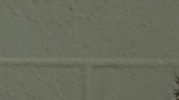 Patrick Wojahn, alcalde de Maryland acusado de posesión de pornografía infantil