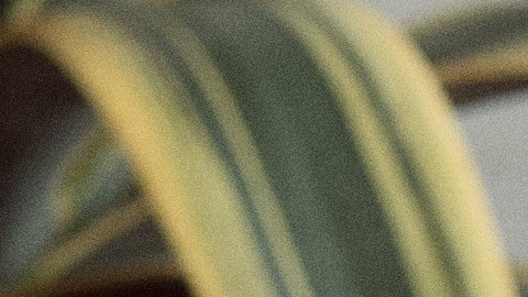 “Tenemos que usar nuestras voces para seguir creciendo”,          dice la empresaria cubana./Cortesía