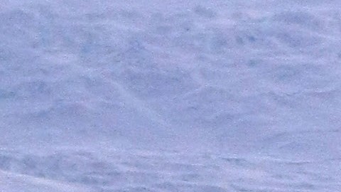 Iceberg