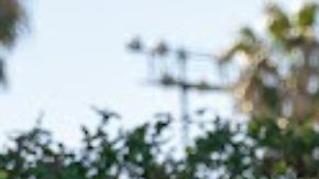 Iker Casillas llegó a Estados Unidos y visitó a su compatriota Riqui Puig en el centro de LA Galaxy [Foto]