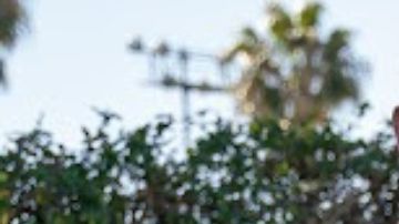 Iker Casillas llegó a Estados Unidos y visitó a su compatriota Riqui Puig en el centro de LA Galaxy [Foto]