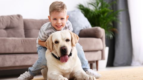 Niño y perro