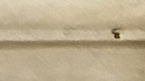 Inmigrantes, desamparados y trabajadores excluidos exigieron a Albany aprobar protecciones para inquilinos y viviendas permanentes.