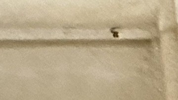 Inmigrantes, desamparados y trabajadores excluidos exigieron a Albany aprobar protecciones para inquilinos y viviendas permanentes.