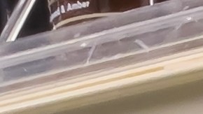 desodorante-old-spice