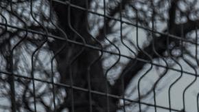 Ucrania mantiene que la defensa de Bajmut es importante, mientras que los rusos avanzan lentamente.