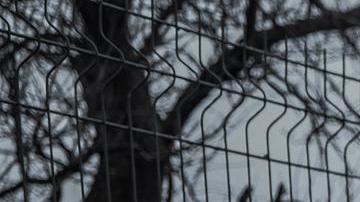 Ucrania mantiene que la defensa de Bajmut es importante, mientras que los rusos avanzan lentamente.