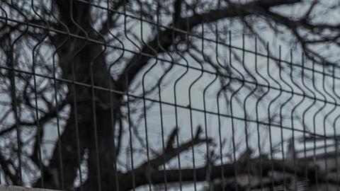 Ucrania mantiene que la defensa de Bajmut es importante, mientras que los rusos avanzan lentamente.