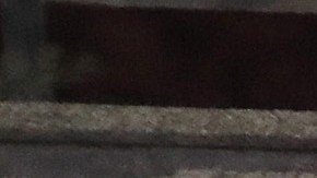 38 migrantes mueren en incendio en Ciudad Juárez