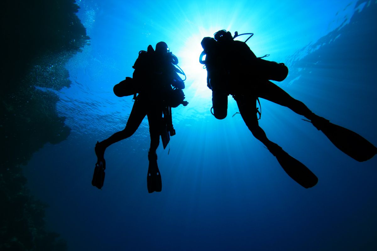 Florida couple sues dive company for $5 million that abandoned them in the middle of the sea