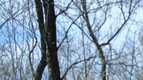 Las tropas ucranianas disparan desde sus posiciones cerca de Zaporizhzhia.