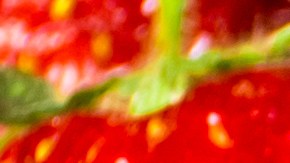 fresas-congeladas-costco-trader-joes