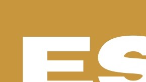 Detalles de la manifestación.