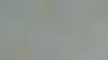 perro-trabaja-renuncia