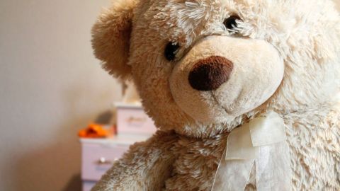 Oso de peluche